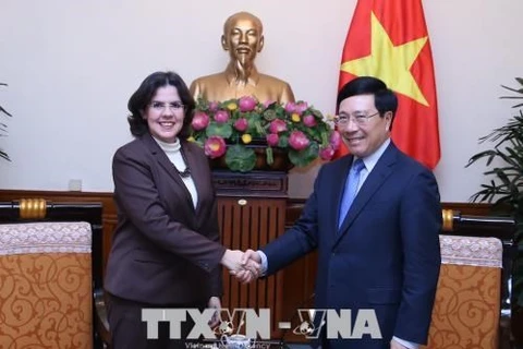 Le vice-Premier ministre Pham Binh Minh reçoit la nouvelle ambassadrice de Cuba