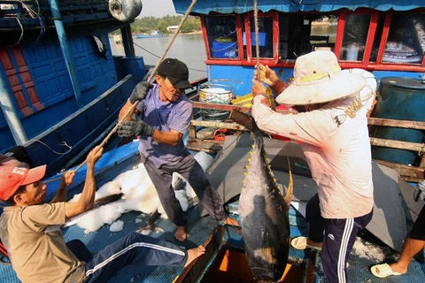 Publication d’un livre blanc sur la pêche INN au Vietnam