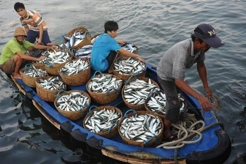 Mer Orientale: Coopération dans la gestion de la pêche et la protection de l’environnement