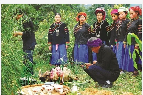 À Hà Giang, les Pu Péo célèbrent le génie de la forêt