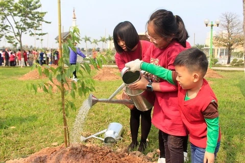 Plantation de 500 cerisiers japonais dans un parc de Hanoi