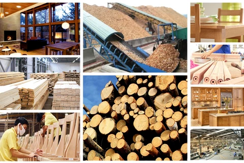 Le CPTPP offre plus d’opportunités que de défis à la filière bois
