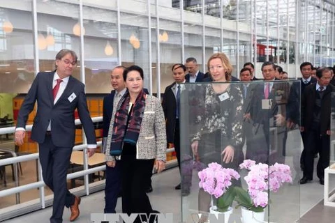 La présidente de l’AN Nguyên Thi Kim Ngân visite un centre d’agriculture high-tech aux Pays-Bas