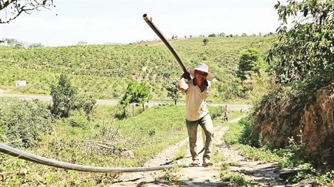 La sécheresse sévit au Tây Nguyên, les agriculteurs sur le qui-vive