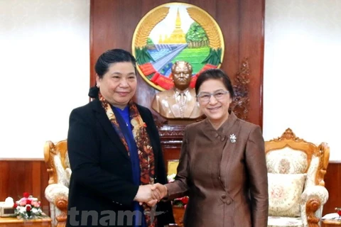 Le Vietnam et le Laos renforcent les relations entre leurs organes législatifs