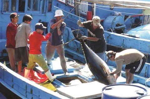 Pêche INN : Le Vietnam s’efforce de satisfaire les critères de la CE