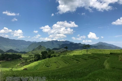 La conférence appelle à l'aide financière des ONG pour Thanh Hoa