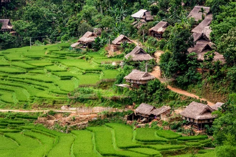 Homestay aux alentours de la Réserve nationale de Pu Luông