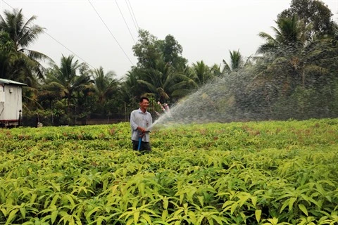 Adapter l’agriculture à la nouvelle donne climatique au Vietnam