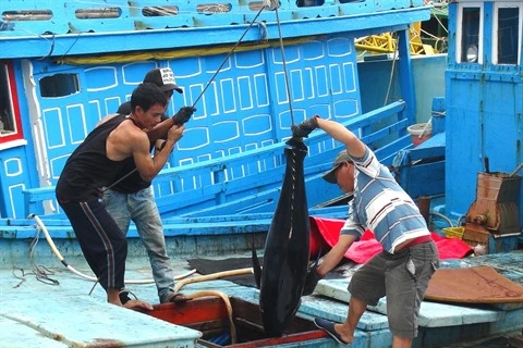 Le Vietnam progresse dans la lutte contre la pêche INN