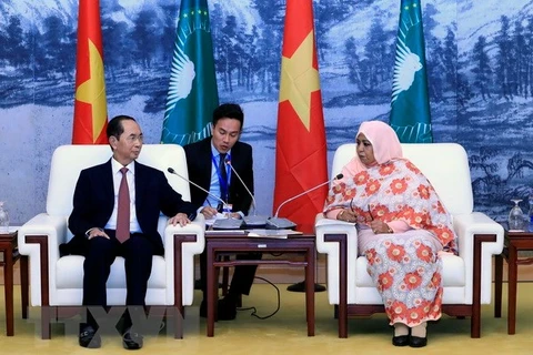 Le président Tran Dai Quang rencontre la présidente p.i de la Commission de l’Union africaine