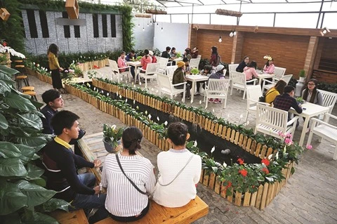 Langbiang Farm lance des passerelles entre agriculture et tourisme