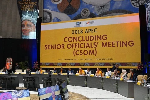 Le Vietnam participe à la CSOM 2018 de l'APEC en Papouasie-Nouvelle-Guinée