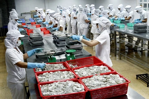 Les céphalopodes du Vietnam exportés dans 61 pays et territoires