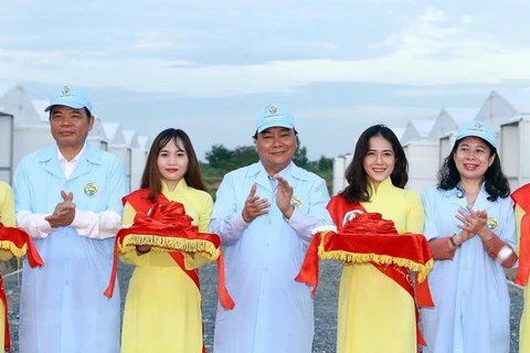 Le Premier ministre visite une zone de pangasius reproducteurs à An Giang