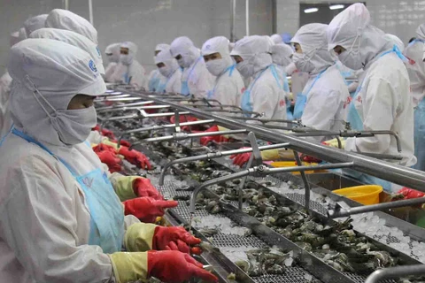 Le Vietnam, 3e exportateur de crevettes aux Etats-Unis en octobre