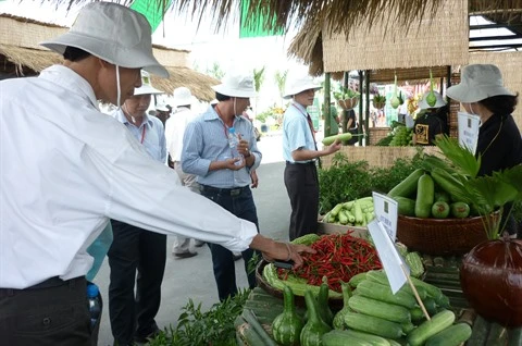 Expansion des superficies de production agricole high-tech à Hô Chi Minh-Ville