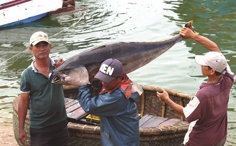 Le Vietnam se dirige vers une pêche durable