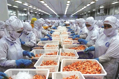 Le Vietnam, une nouvelle puissance agricole
