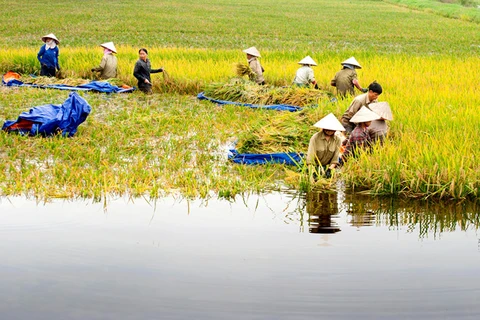 Le Fonds vert pour le climat financera un projet du delta du Mékong