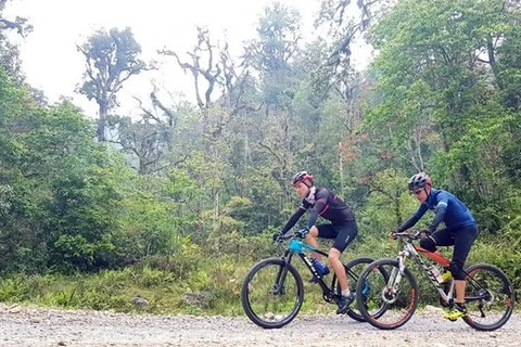 Lao Cai: course cycliste "Au milieu la saison des rhododendrons"