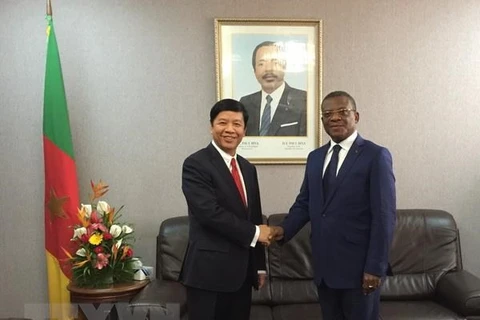 L’envoyé spécial du Premier ministre Nguyên Xuân Phuc travaille au Cameroun