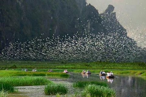 La réserve naturelle submergée de Van Long devient le 9e site Ramsar au Vietnam