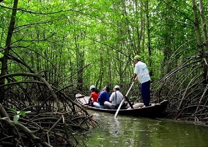Lutter contre l’érosion de la biodiversité au Vietnam