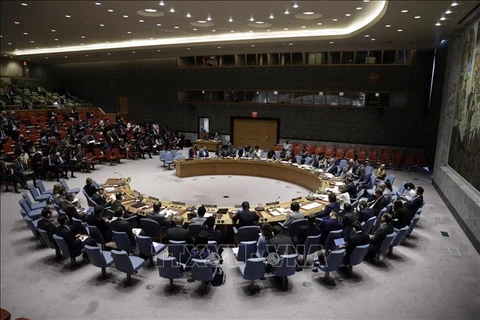 Le Vietnam bien placé pour remplir son rôle au Conseil de sécurité