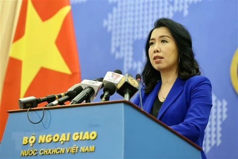 Le Vietnam demande de traiter strictement une affaire de violences faite à une femme vietnamienne 