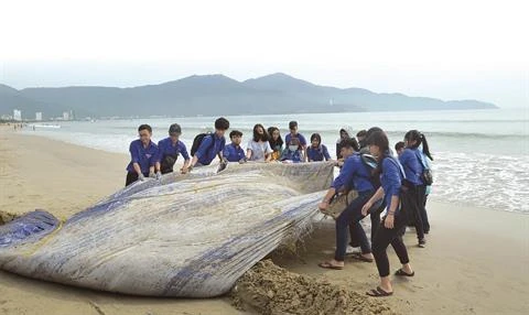 Le Vietnam s’engage à s’associer à la lutte contre les déchets marins 