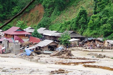 Le typhon Wipha cause d’importants dégâts dans plusieurs localités
