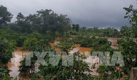 Les inondations font 5 morts dans la province de Dak Nông