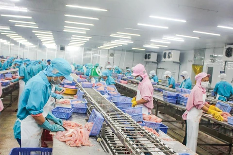 L’UE, marché prometteur pour les pangasius du Vietnam