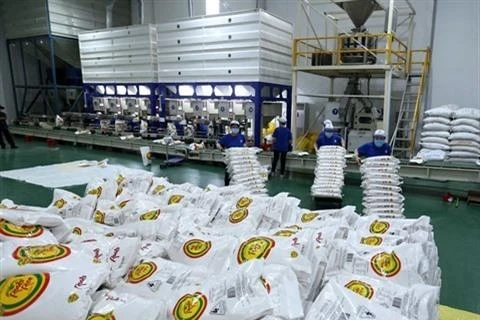 Le Vietnam a exporté deux milliards de dollars de riz
