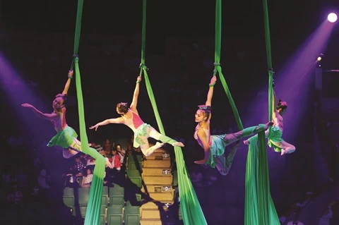 Festival international du cirque 2019: De nouveaux talents vietnamiens sous le chapiteau 