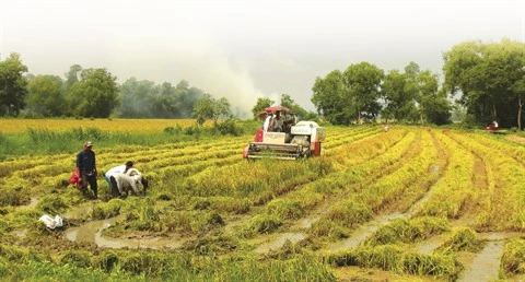 L’édification de la nouvelle ruralité, mission accomplie avant terme