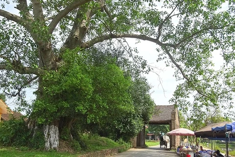 Les villageois de Duong Lâm, de l’amour pour la terre natale à l’espoir de la conserver