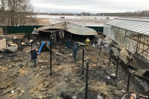 Une femme vietnamienne blessée dans un incendie de ferme en Russie