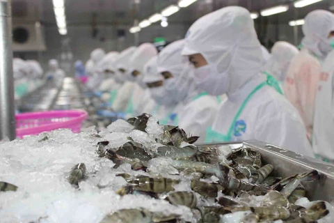Belles perspectives pour les exportations de crevettes aux Etats-Unis