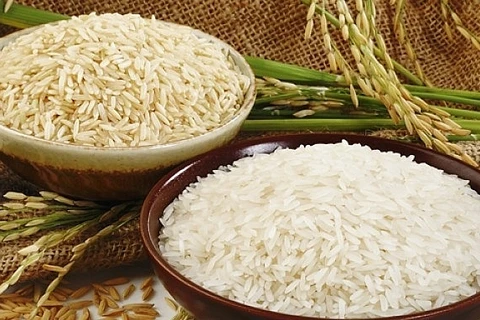 Les exportations nationales de riz se portent bien