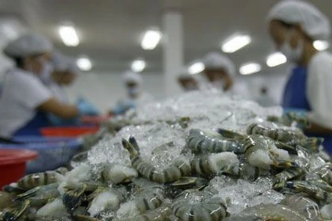 Hausse des exportations de crevettes les deux premiers mois de l’année