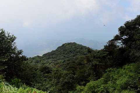 Parc national de Phia Oắc - Phia Ðén: un des hauts lieux du tourisme de Cao Bang