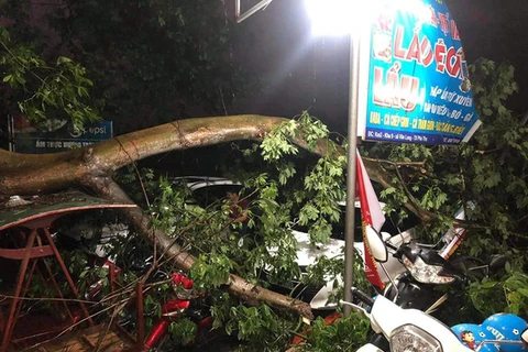 Des pluies torrentielles font un mort et 12 blessés dans les provinces du Nord