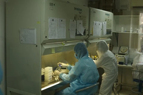 COVID-19: le vaccin "made in Vietnam" se révèle efficace sur la souris