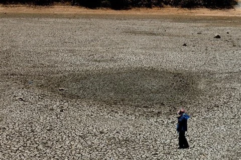 2020 : les catastrophes naturelles seront féroces et imprévisibles