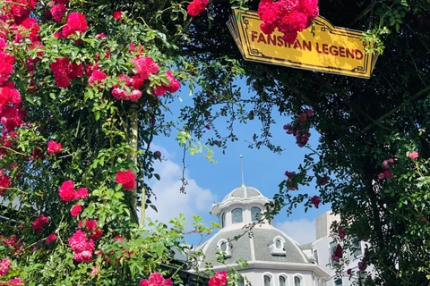 La vallée de roses à Sapa reconnue comme la plus grande du Vietnam