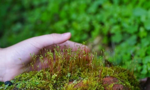 Biodiversité : agir pour les générations futures