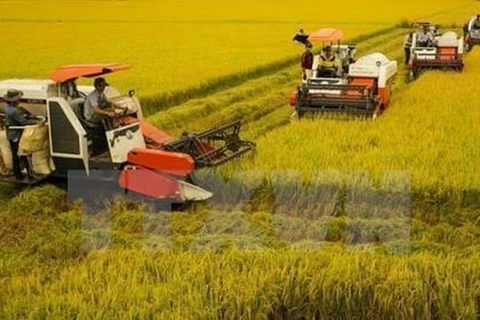 L’agriculture vietnamienne affiche ses ambitions