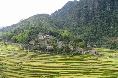 Errance dans la Réserve naturelle de Pù Luông à la saison du riz mûr